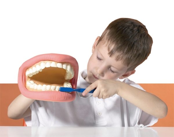 דגם שיניים גדול