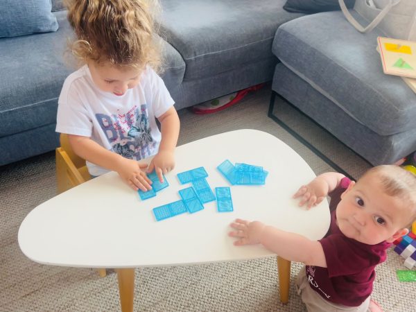 דומינו תחושתי לקבוצה